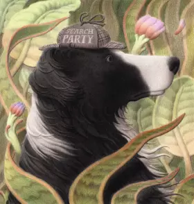 Couverture du produit · Search Party