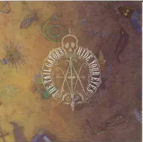 Couverture du produit · Hide Your Eyes