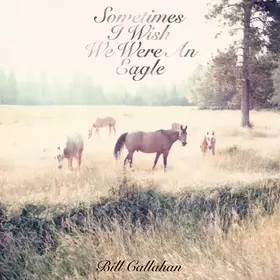 Couverture du produit · Sometimes I Wish We Were An Eagle