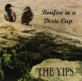 Couverture du produit · Bonfire In A Dixie Cup