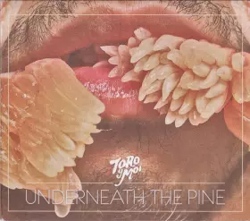Couverture du produit · Underneath The Pine