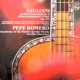 Couverture du produit · Guitar Concerto In A, Introduction Variations & Polonaise