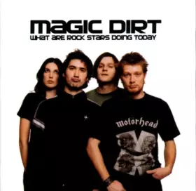 Couverture du produit · What Are Rock Stars Doing Today