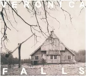 Couverture du produit · Veronica Falls