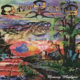 Couverture du produit · Memory Analysis