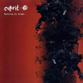 Couverture du produit · Running In Order