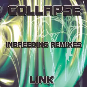 Couverture du produit · Link - Inbreeding Remixes