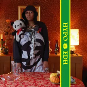 Couverture du produit · The Correct Use Of Pets