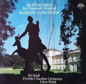 Couverture du produit · Basoon Concertos