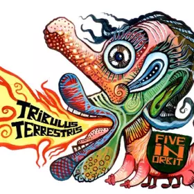 Couverture du produit · Tribulus Terrestris