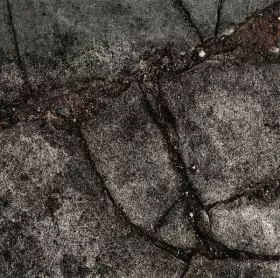 Couverture du produit · Brood X