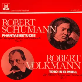 Couverture du produit · Phantasiestücke / Trio in B-Moll