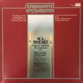 Couverture du produit · Unbekannte Kostbarkeiten