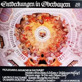 Couverture du produit · Entdeckungen In Oberbayern