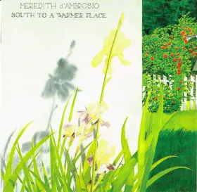 Couverture du produit · South To A Warmer Place