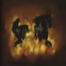 Couverture du produit · The Besnard Lakes Are The Dark Horse