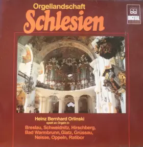 Couverture du produit · Orgellandschaft Schlesien