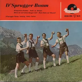 Couverture du produit · D'Sprugger Buam