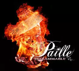 Couverture du produit · Inflammable