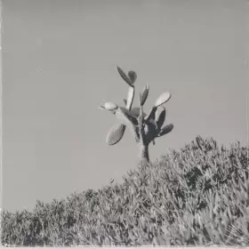 Couverture du produit · Down To The Bone