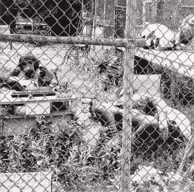 Couverture du produit · Drame