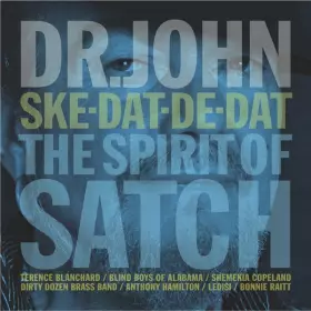Couverture du produit · Ske-Dat-De-Dat The Spirit Of Satch