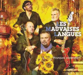 Couverture du produit · Pourquoi Comment ?