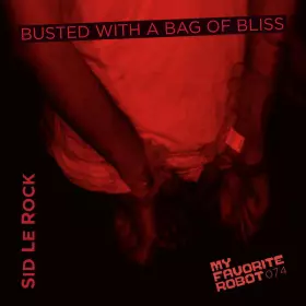 Couverture du produit · Busted With A Bag Of Bliss