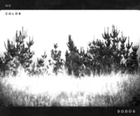 Couverture du produit · No Color