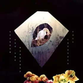 Couverture du produit · Crystals Fall