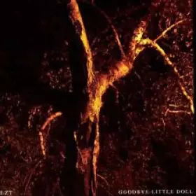 Couverture du produit · Goodbye Little Doll