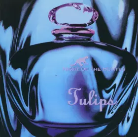 Couverture du produit · Night Of The Hunter