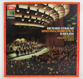 Couverture du produit · Sinfonia Domestica Op. 53
