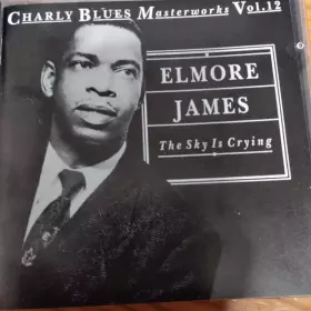 Couverture du produit · The Sky Is Crying 