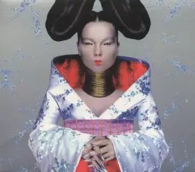 Couverture du produit · Homogenic