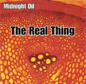 Couverture du produit · The Real Thing
