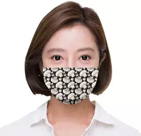 Couverture du produit · Le Meilleur des Chansons Choux