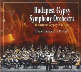 Couverture du produit · From Budapest To Vienna