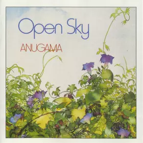 Couverture du produit · Open Sky