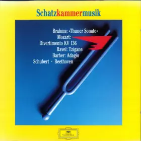 Couverture du produit · Schatzkammermusik