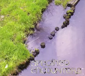 Couverture du produit · Specified Encounters