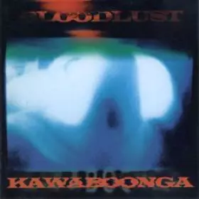 Couverture du produit · Kawaboonga