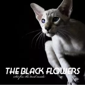 Couverture du produit · Set Free The Devil Inside