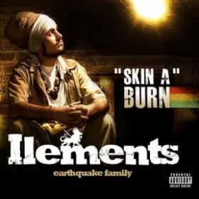 Couverture du produit · Skin A Burn