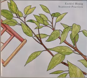 Couverture du produit · Scattered Practices