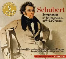 Couverture du produit · Symphonies Nos 8 «Inachevée» Et 9 «La Grande»
