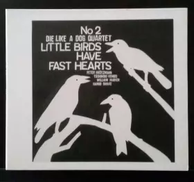 Couverture du produit · Little Birds Have Fast Hearts No. 2