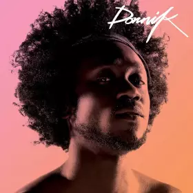 Couverture du produit · Dornik