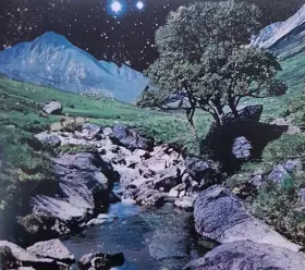 Couverture du produit · The Beta Band