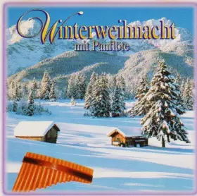 Couverture du produit · Winterweihnacht Mit Panfl [Import]
